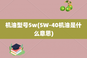 机油型号5w(5W-40机油是什么意思)
