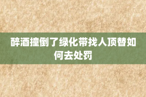 醉酒撞倒了绿化带找人顶替如何去处罚