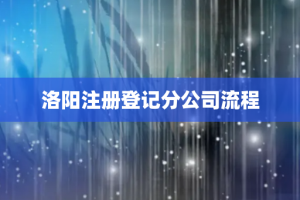 洛阳注册登记分公司流程