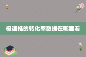 极速推的转化率数据在哪里看