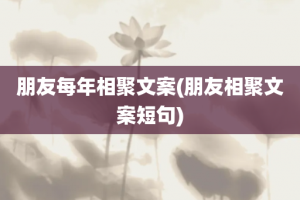 朋友每年相聚文案(朋友相聚文案短句)