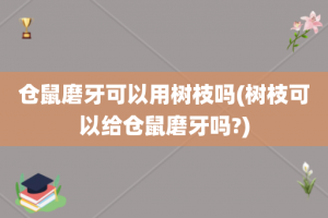 仓鼠磨牙可以用树枝吗(树枝可以给仓鼠磨牙吗?)