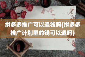 拼多多推广可以退钱吗(拼多多推广计划里的钱可以退吗)