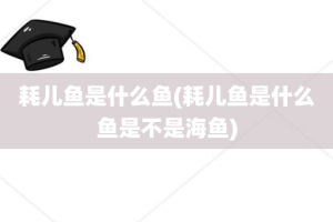 耗儿鱼是什么鱼(耗儿鱼是什么鱼是不是海鱼)