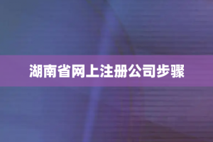 湖南省网上注册公司步骤