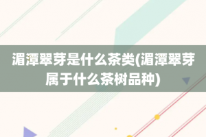 湄潭翠芽是什么茶类(湄潭翠芽属于什么茶树品种)