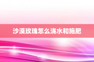 沙漠玫瑰怎么浇水和施肥