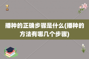 播种的正确步骤是什么(播种的方法有哪几个步骤)