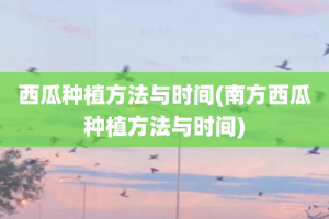 西瓜种植方法与时间(南方西瓜种植方法与时间)