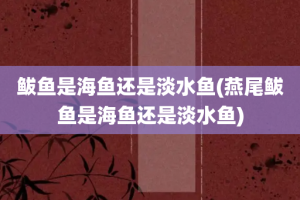 鲅鱼是海鱼还是淡水鱼(燕尾鲅鱼是海鱼还是淡水鱼)