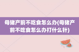 母猪产前不吃食怎么办(母猪产前不吃食怎么办打什么针)