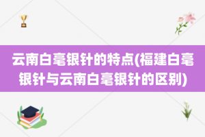 云南白毫银针的特点(福建白毫银针与云南白毫银针的区别)