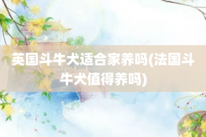 英国斗牛犬适合家养吗(法国斗牛犬值得养吗)