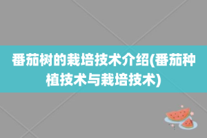 番茄树的栽培技术介绍(番茄种植技术与栽培技术)