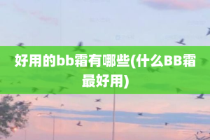 好用的bb霜有哪些(什么BB霜最好用)