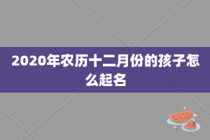 2020年农历十二月份的孩子怎么起名