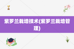 紫罗兰栽培技术(紫罗兰栽培管理)