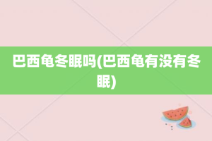 巴西龟冬眠吗(巴西龟有没有冬眠)