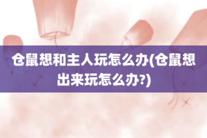 仓鼠想和主人玩怎么办(仓鼠想出来玩怎么办?)