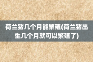 荷兰猪几个月能繁殖(荷兰猪出生几个月就可以繁殖了)