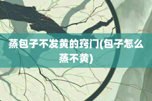 蒸包子不发黄的窍门(包子怎么蒸不黄)