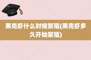 黑壳虾什么时候繁殖(黑壳虾多久开始繁殖)