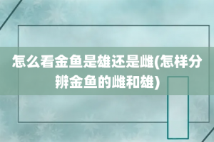 怎么看金鱼是雄还是雌(怎样分辨金鱼的雌和雄)
