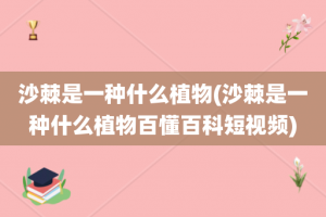 沙棘是一种什么植物(沙棘是一种什么植物百懂百科短视频)