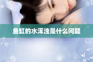 鱼缸的水浑浊是什么问题