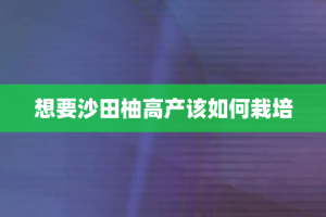 想要沙田柚高产该如何栽培