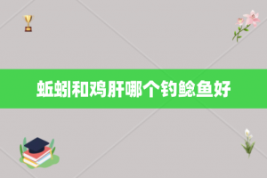 蚯蚓和鸡肝哪个钓鲶鱼好