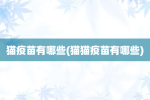 猫疫苗有哪些(猫猫疫苗有哪些)