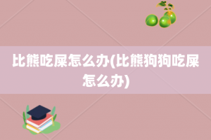 比熊吃屎怎么办(比熊狗狗吃屎怎么办)