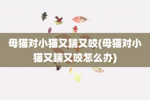 母猫对小猫又踹又咬(母猫对小猫又踹又咬怎么办)