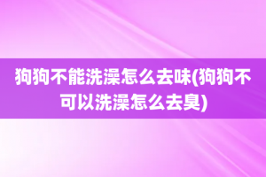 狗狗不能洗澡怎么去味(狗狗不可以洗澡怎么去臭)