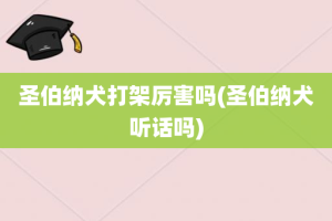 圣伯纳犬打架厉害吗(圣伯纳犬听话吗)