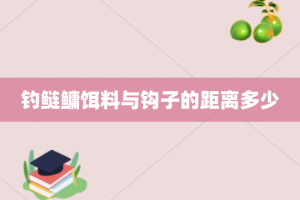 钓鲢鳙饵料与钩子的距离多少