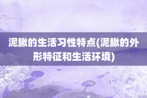泥鳅的生活习性特点(泥鳅的外形特征和生活环境)