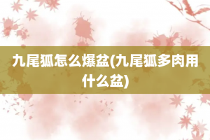 九尾狐怎么爆盆(九尾狐多肉用什么盆)