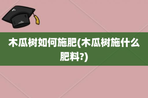 木瓜树如何施肥(木瓜树施什么肥料?)