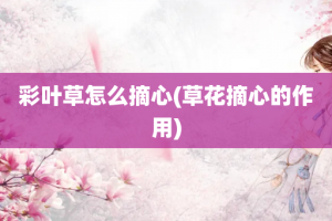 彩叶草怎么摘心(草花摘心的作用)