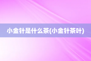 小金针是什么茶(小金针茶叶)