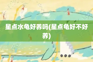 星点水龟好养吗(星点龟好不好养)