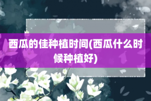 西瓜的佳种植时间(西瓜什么时候种植好)