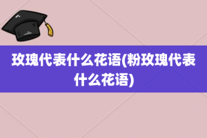 玫瑰代表什么花语(粉玫瑰代表什么花语)