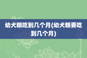 幼犬粮吃到几个月(幼犬粮要吃到几个月)