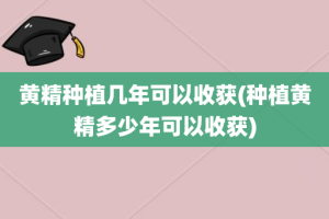 黄精种植几年可以收获(种植黄精多少年可以收获)