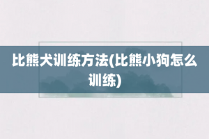 比熊犬训练方法(比熊小狗怎么训练)