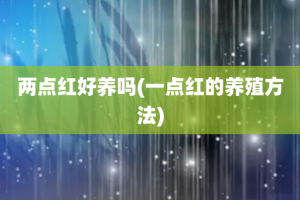 两点红好养吗(一点红的养殖方法)