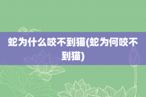 蛇为什么咬不到猫(蛇为何咬不到猫)